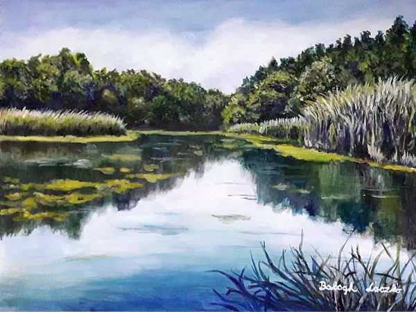 Tóparti hangulat Olaj-farost 30x40cm megvásárolható