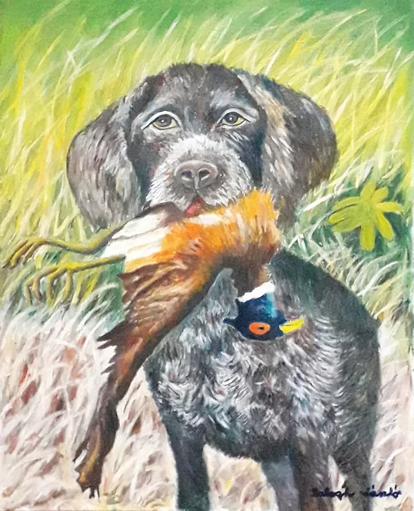 német vizsla olaj-vászon 50x40cm rendelésre készült